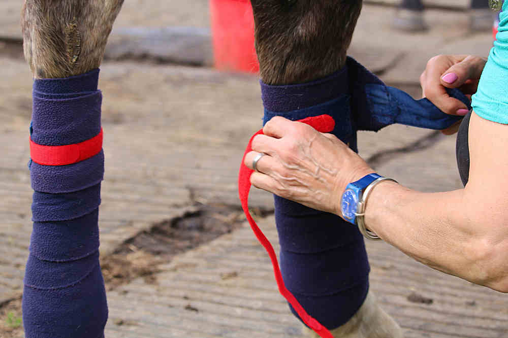 Cheeky binders leg binders being applied