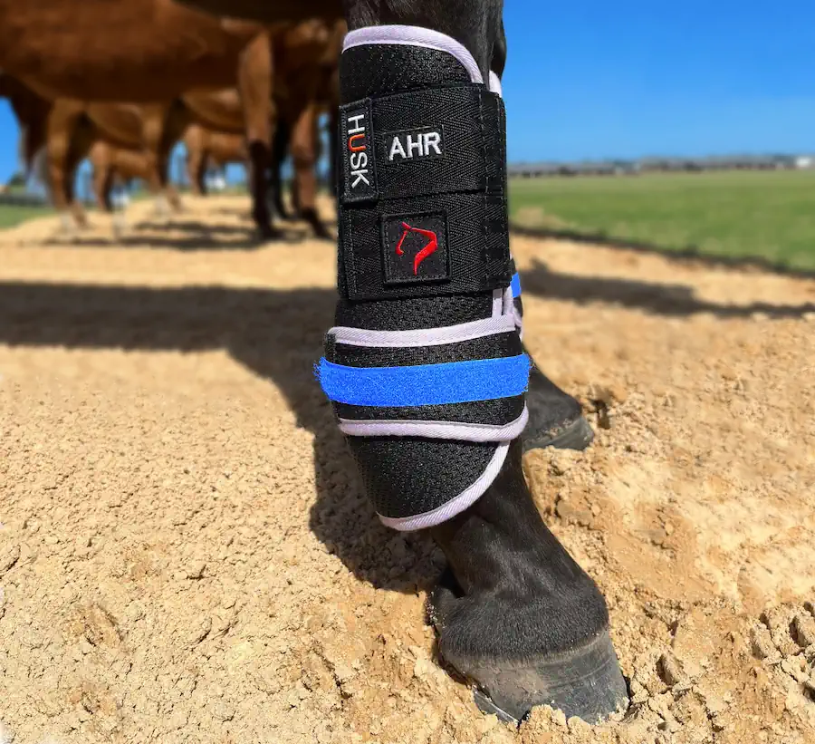 Husk boots with Royal Blue Cheeky Binders